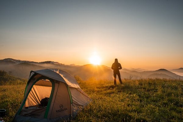 Quels sont les conseils pour un camping en région de fjord avec observation des baleines à bosses?